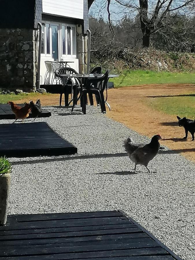 Le Petit Secret Villa Saint-Hilaire  Eksteriør bilde